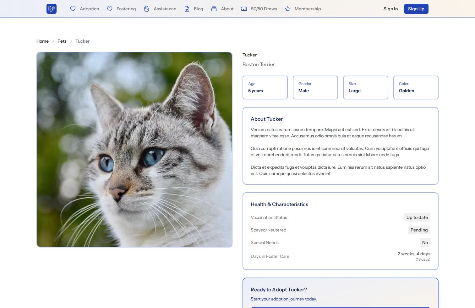 Pet Adoption Platform